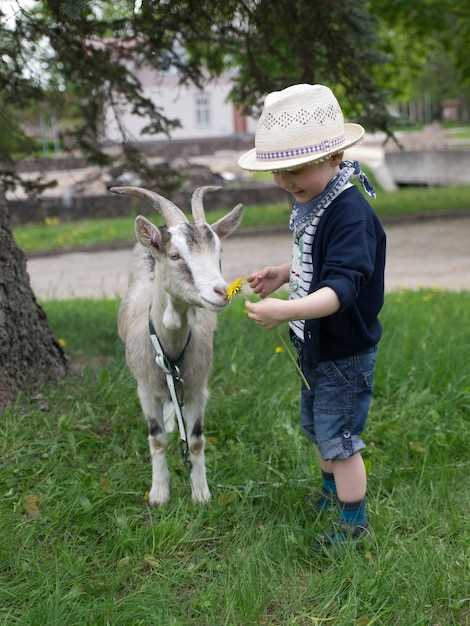 Зерновые продукты для нормализации стула