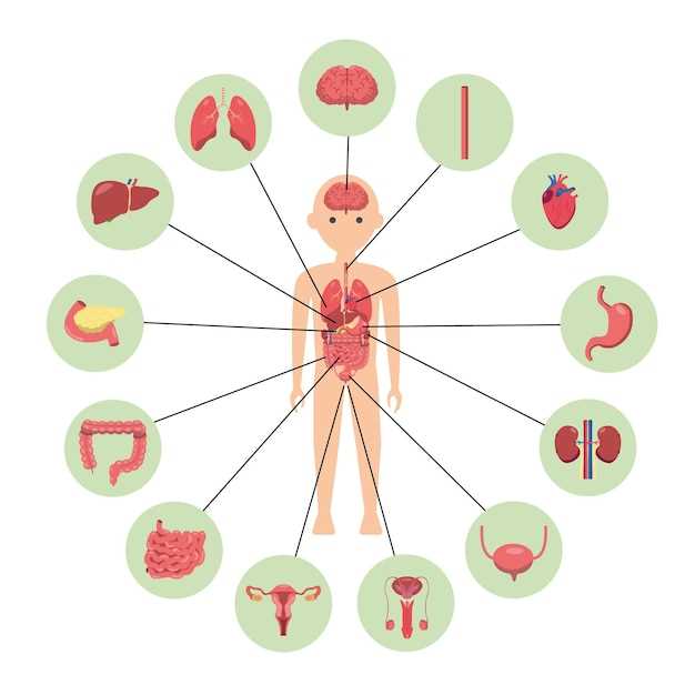 Причины образования кист в различных органах и тканях.